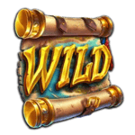Symbol Wild