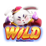 Symbol Wild