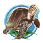 Symbol Turtle
