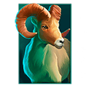 Symbol Ram