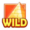Symbol Wild