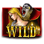 Symbol Wild