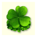 Symbol Clover