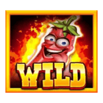 Symbol Wild