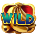 Symbol Wild