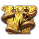 Symbol Wild