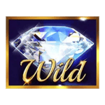 Symbol Wild