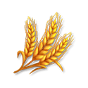 Symbol Wheat plant