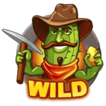 Symbol Wild