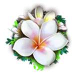 Symbol White Flower