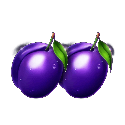 Symbol Plum