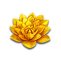 Symbol Lotus