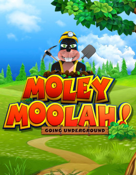 Moley Moolah! Poster