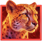 Symbol Leopard
