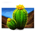 Symbol Cactus