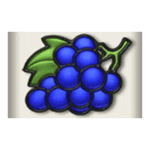 Symbol Grape