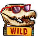 Symbol Wild