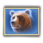 Symbol Bear