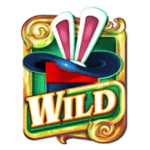 Symbol Wild