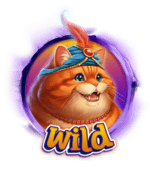 Symbol Wild