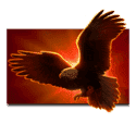 Symbol Hawk