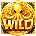 Symbol Wild