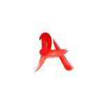 Symbol Ace
