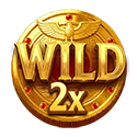 Symbol Wild multiplier