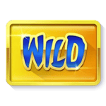 Symbol Wild