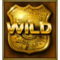 Symbol Wild
