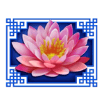 Symbol Lotus Flower