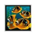 Symbol Fishes