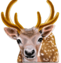 Symbol Deer