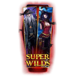 Symbol Wild