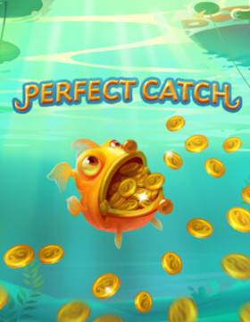 Perfect Catch Poster