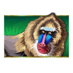 Symbol Baboon