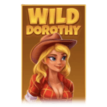 Symbol Wild