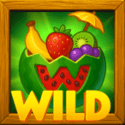 Symbol Wild