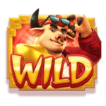 Symbol Wild
