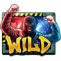 Symbol Wild
