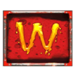 Symbol Wild