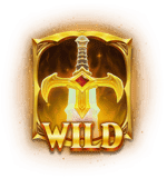 Symbol Any Wild