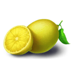 Symbol Lemon