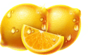 Symbol Lemon