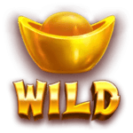 Symbol Wild