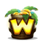 Symbol Wild
