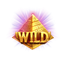 Symbol Wild