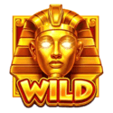 Symbol Wild