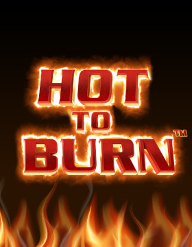 Hot to Burn Poster