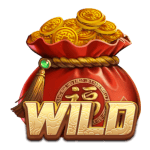Symbol Wild